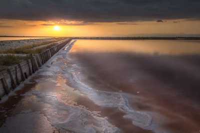Giochi di luce, fenicotteri e leggende: l'incanto delle saline di Margherita di Savoia